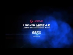 разведывательный дрон